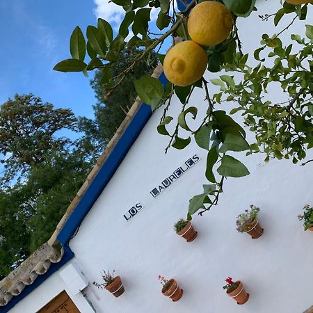 Casa Los Laureles Pilas ภายนอก รูปภาพ