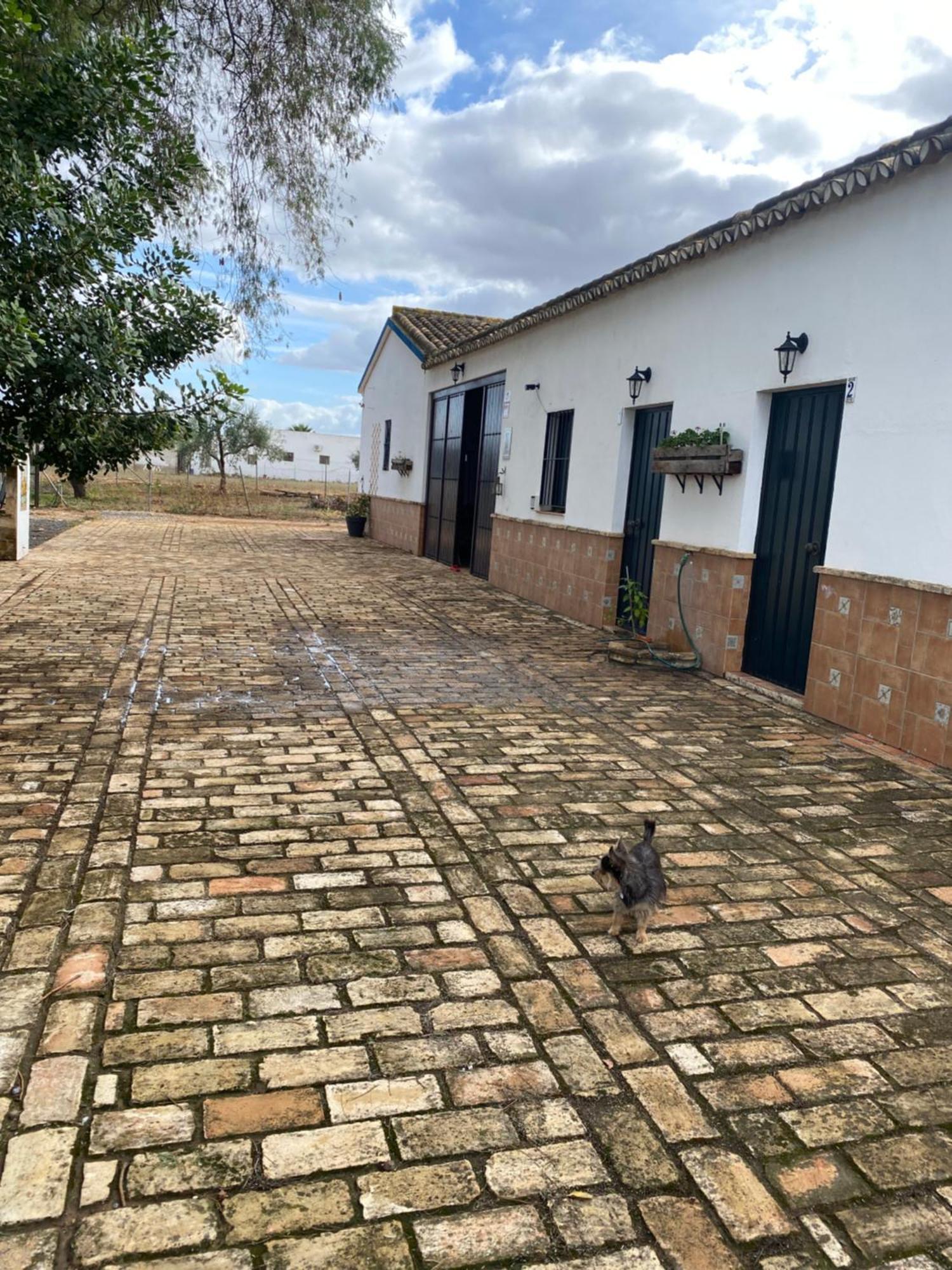 Casa Los Laureles Pilas ภายนอก รูปภาพ
