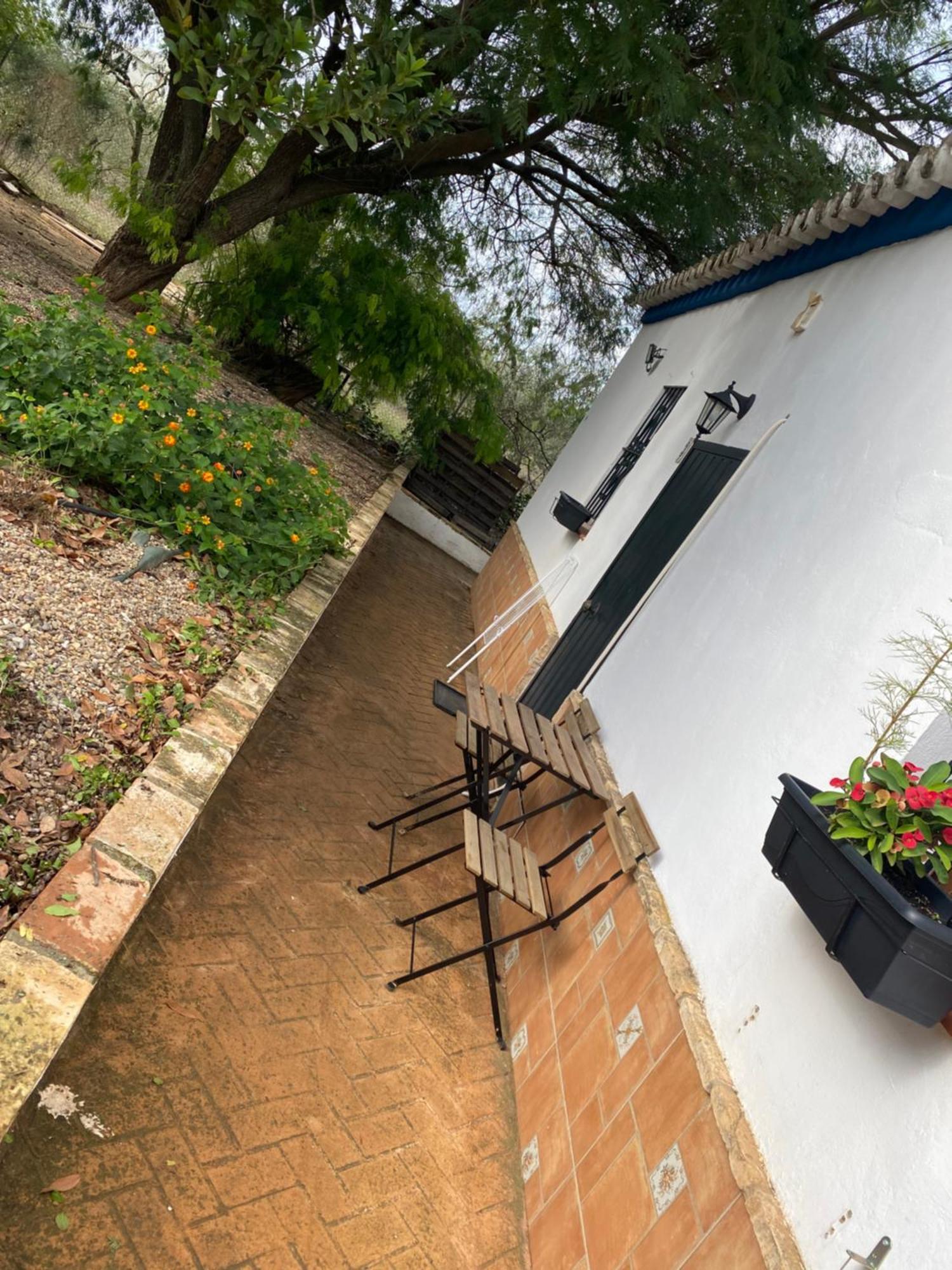Casa Los Laureles Pilas ภายนอก รูปภาพ