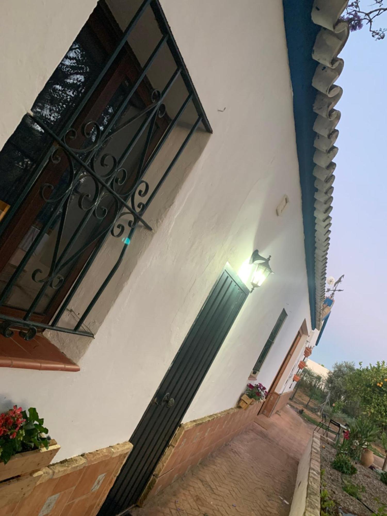 Casa Los Laureles Pilas ภายนอก รูปภาพ