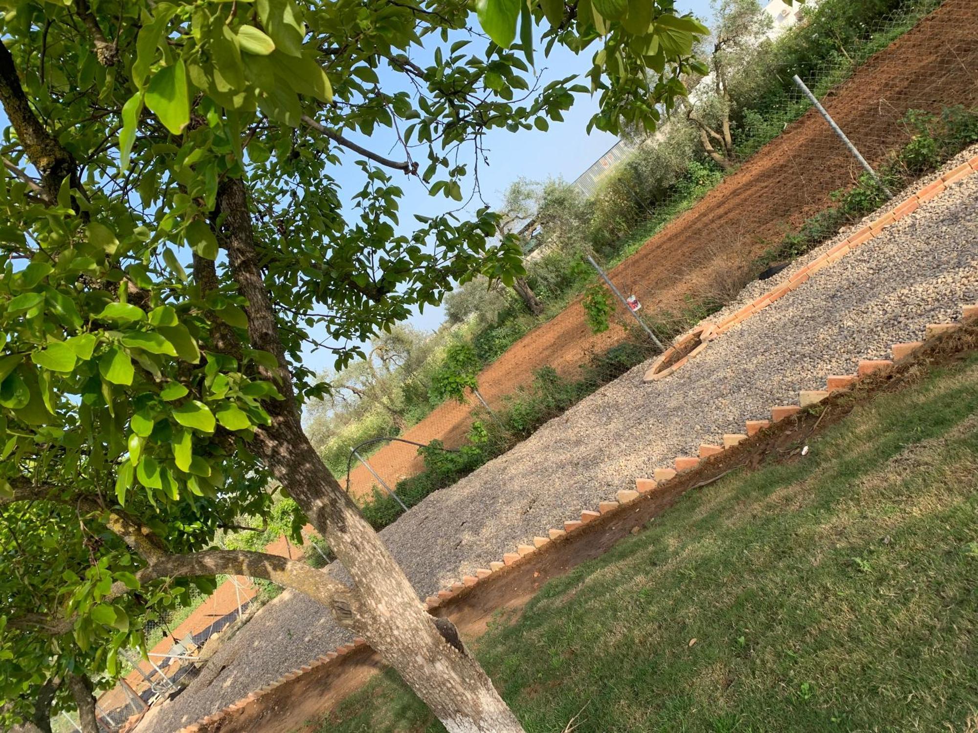 Casa Los Laureles Pilas ภายนอก รูปภาพ
