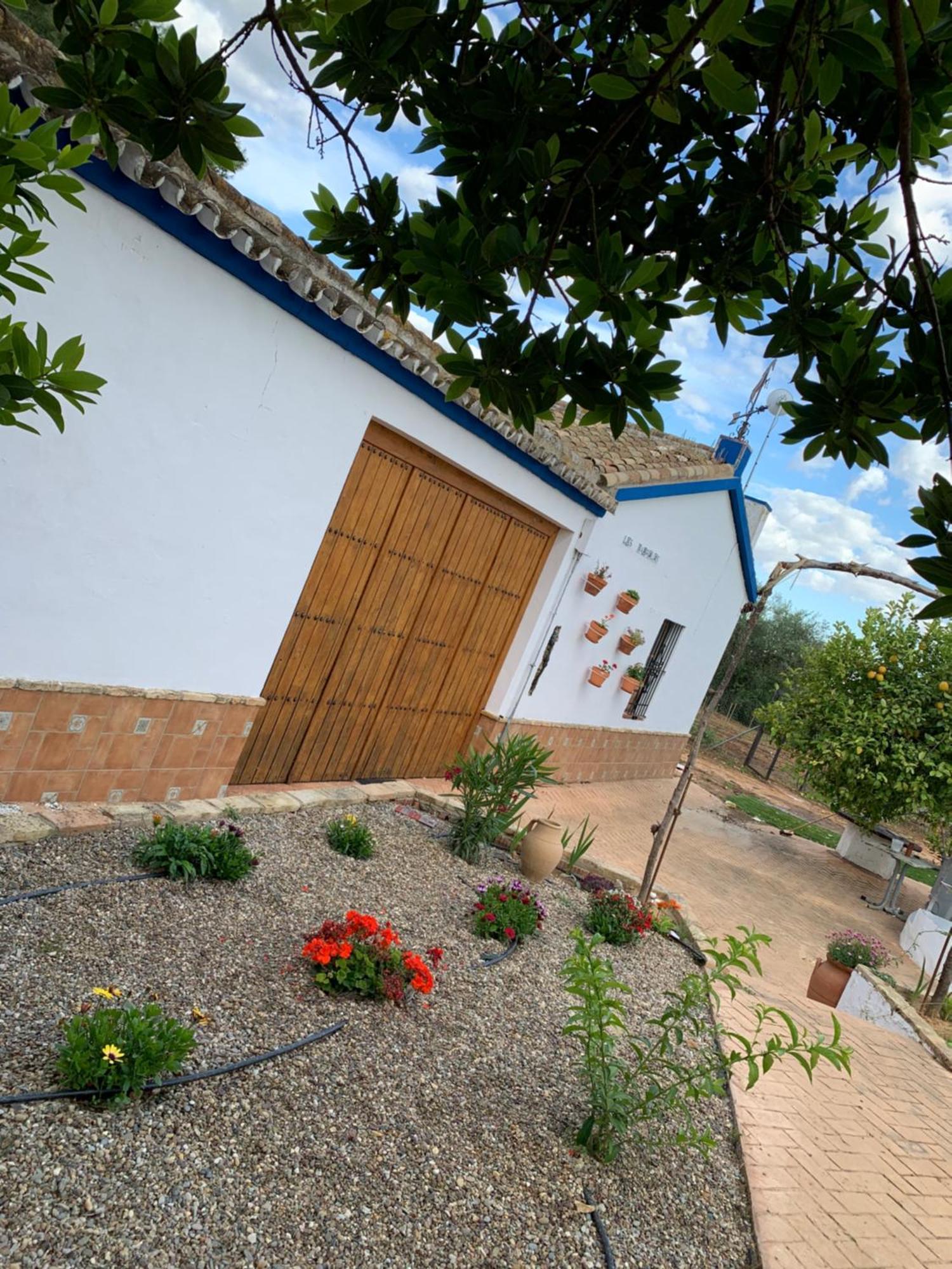 Casa Los Laureles Pilas ภายนอก รูปภาพ