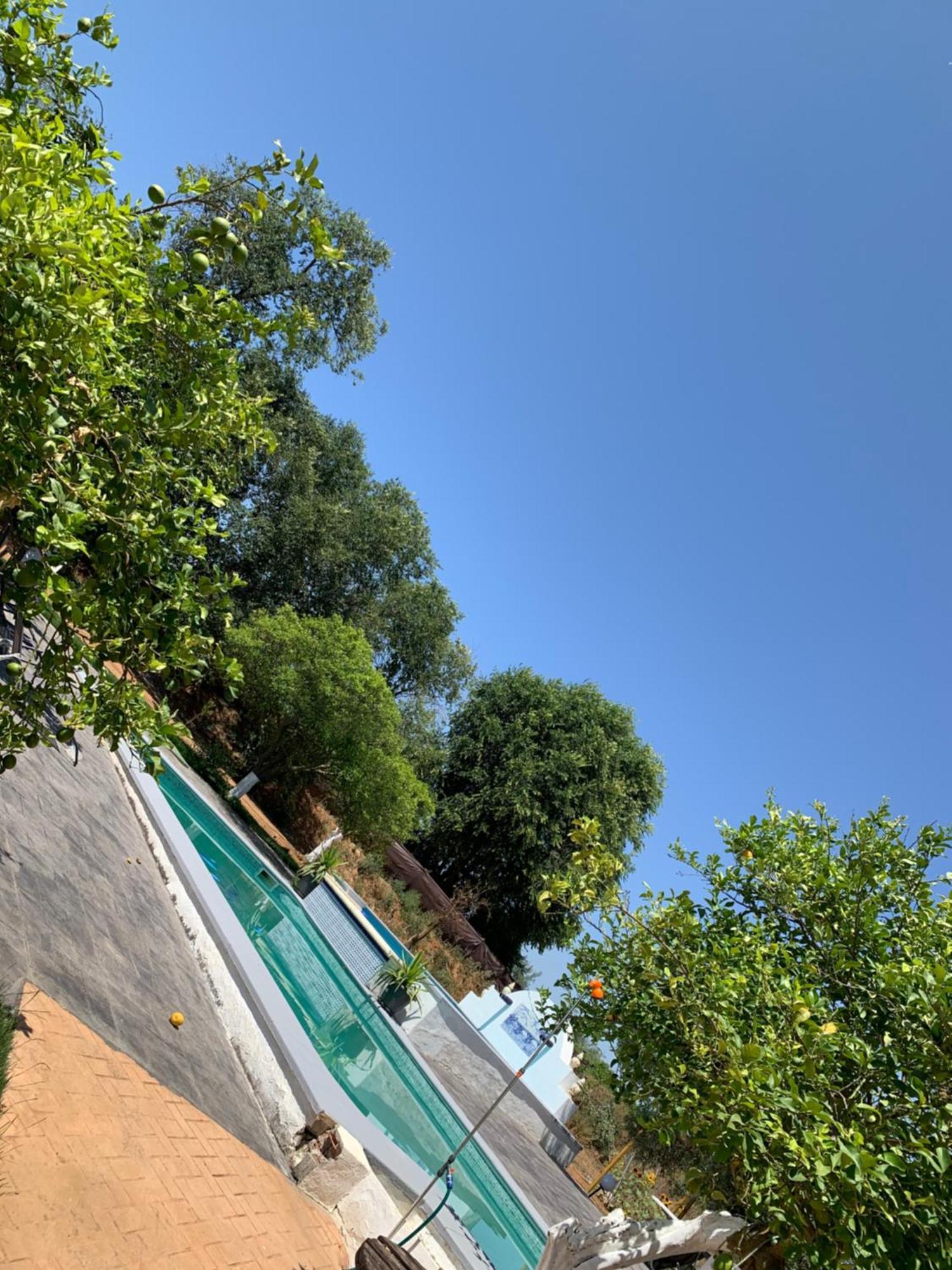 Casa Los Laureles Pilas ภายนอก รูปภาพ