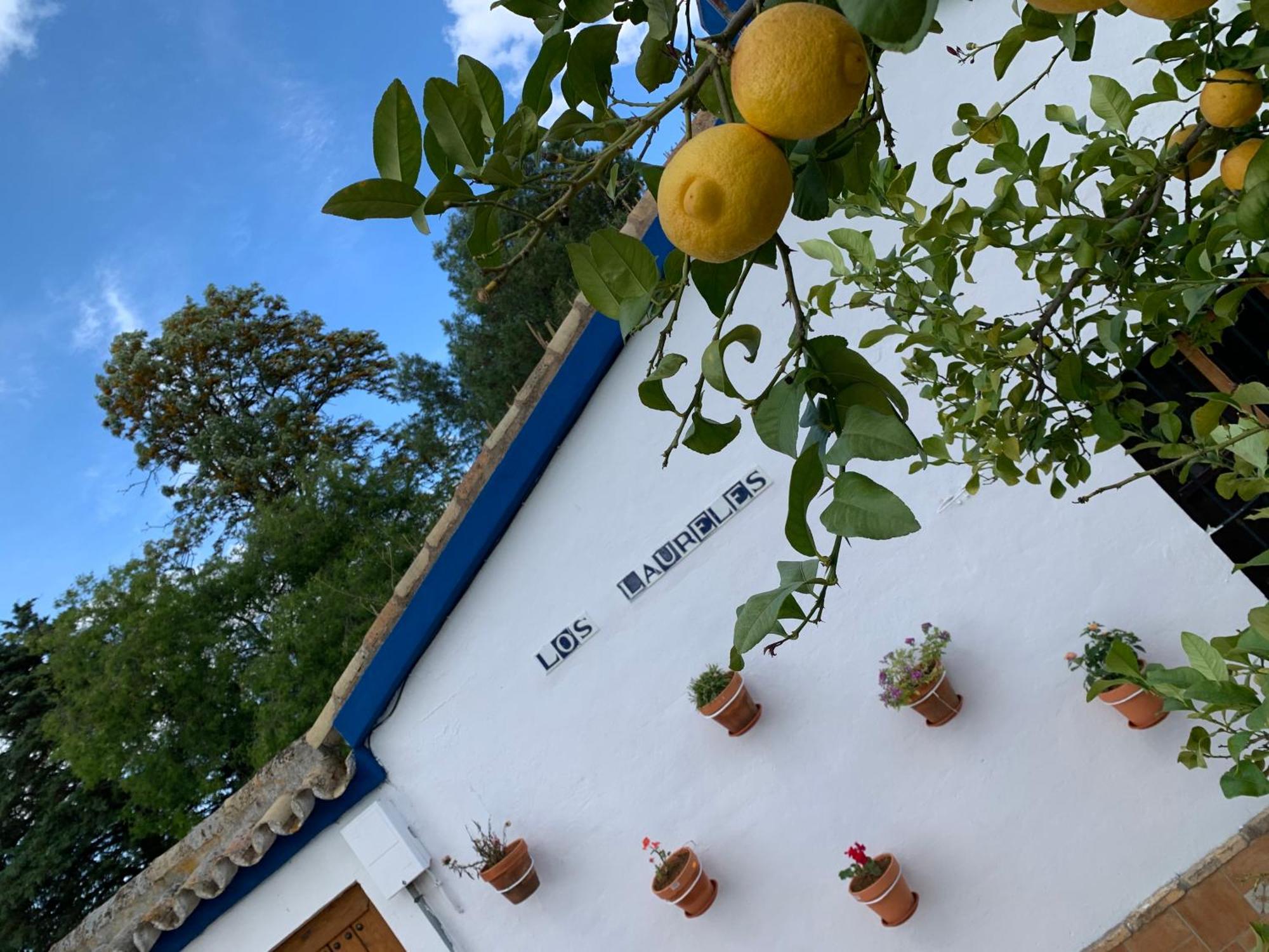 Casa Los Laureles Pilas ภายนอก รูปภาพ