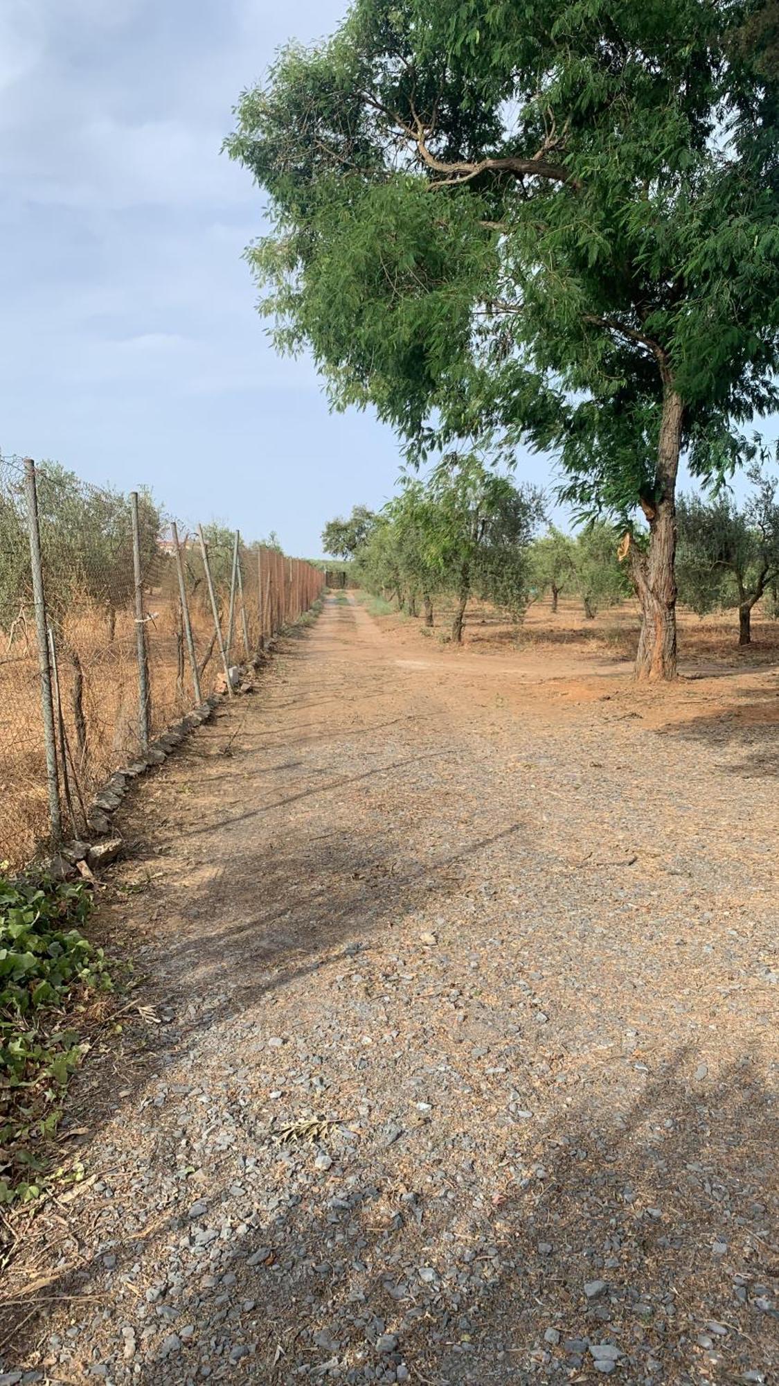 Casa Los Laureles Pilas ภายนอก รูปภาพ