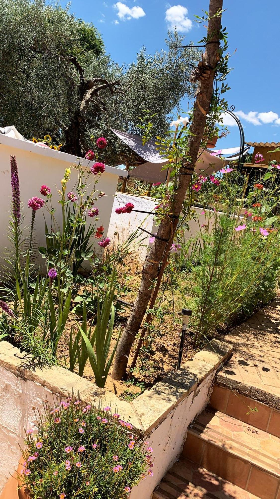 Casa Los Laureles Pilas ภายนอก รูปภาพ